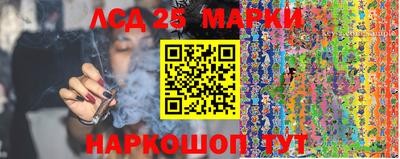 стафф Пенза
