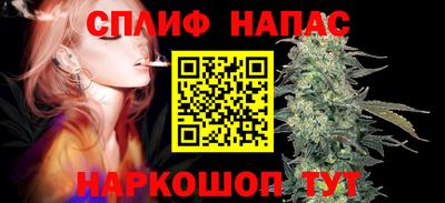 стафф Пенза