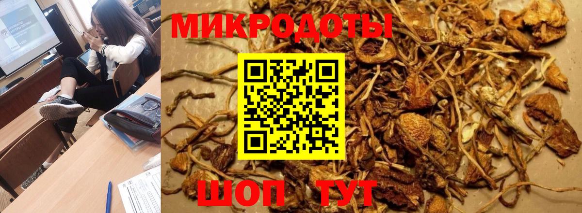 Сочи  закладки  Вход с VPN  Псилоцибиновые грибы Psilocybe  Галлюциногенные грибы Psilocybe 