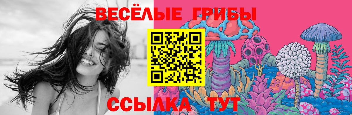 Псилоцибиновые грибы Psilocybine cubensis Сочи